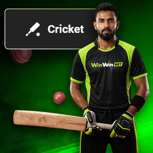 Bet on major cricket matches and tournaments at Winwin.